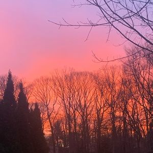 Meet your Posher, Kaelly